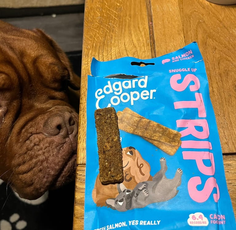 A Close up of Ember sniffing the Snuggle up Strips in Salmon & Chicken flavour