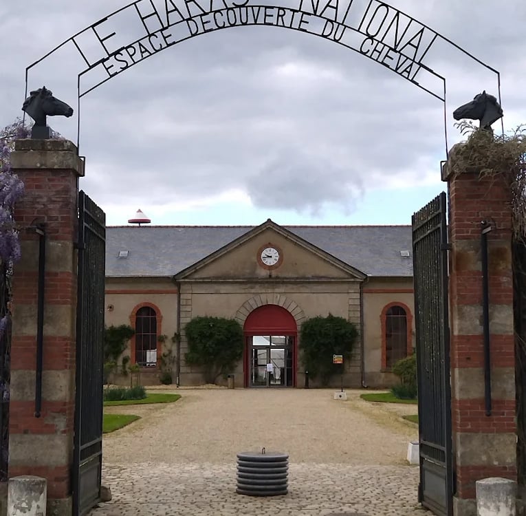 Ty Bayon - Activités pour vos P'tits Loups - Le Haras National d'Hennebont