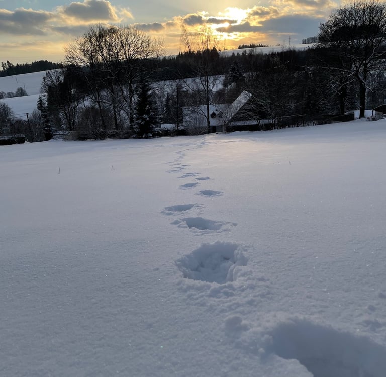 footprints prints of footprints in the snow