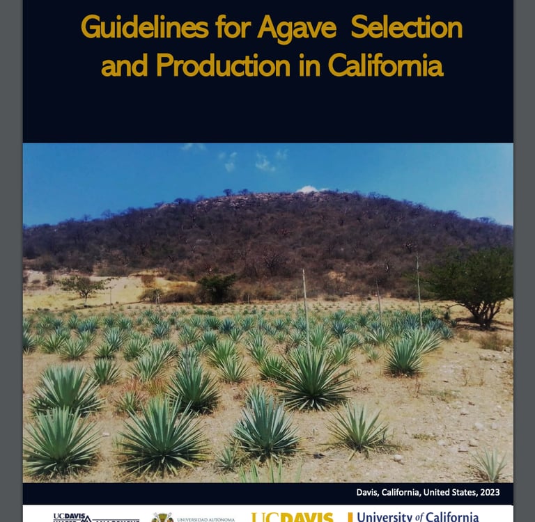 English GuidelAgaveSelectionProduction-California