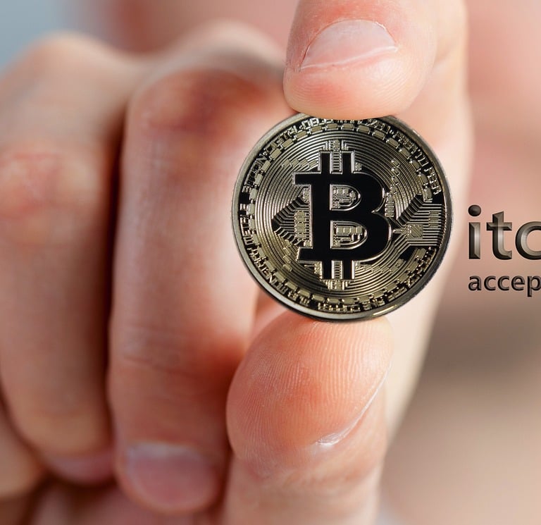 a person holding a bitcoin coin