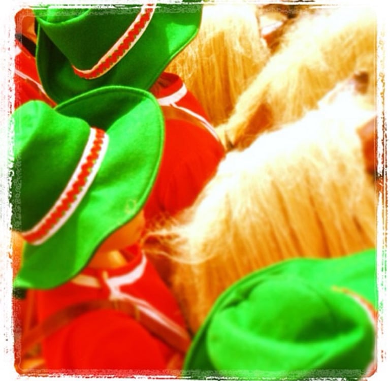 cavallets de felanitx