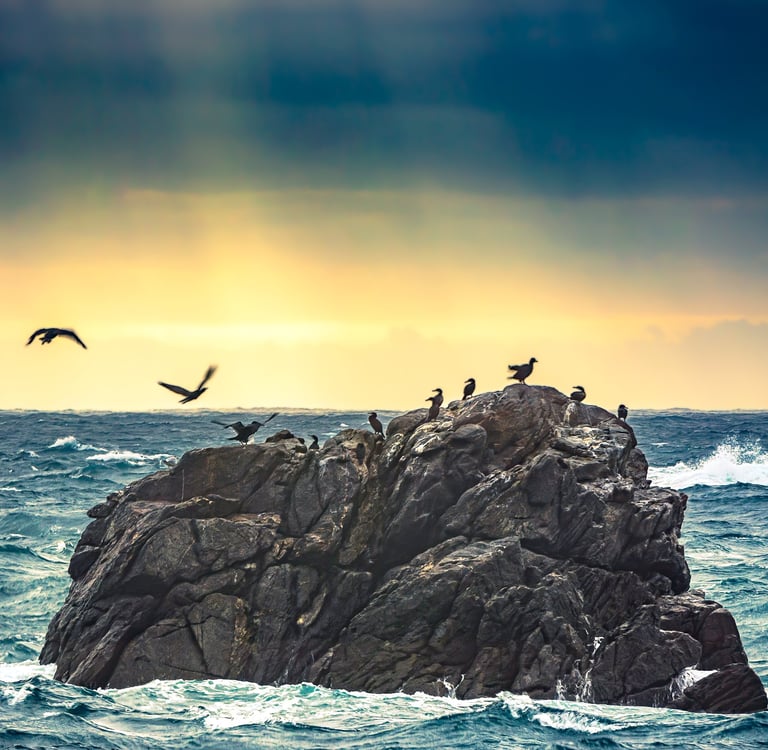 Photo originale de Anthony Leclerc d'un rocher qui abrite des cormorans à Ouessant