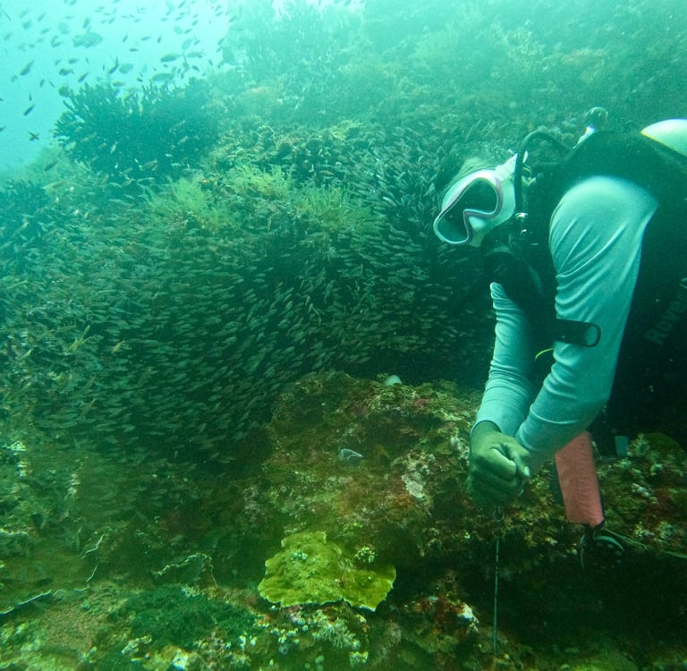 Raja Ampat Guided Diving
