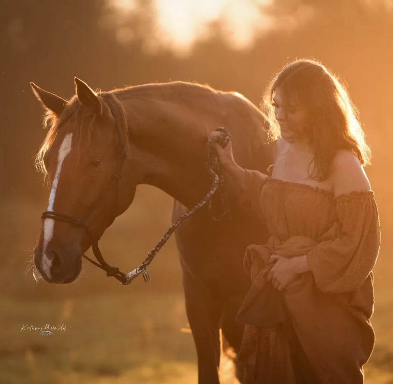 Bild von HighPi (Pferd)