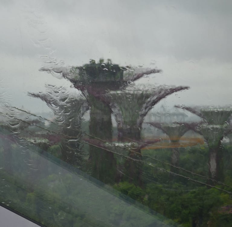 La fo^ret verte de Singapour