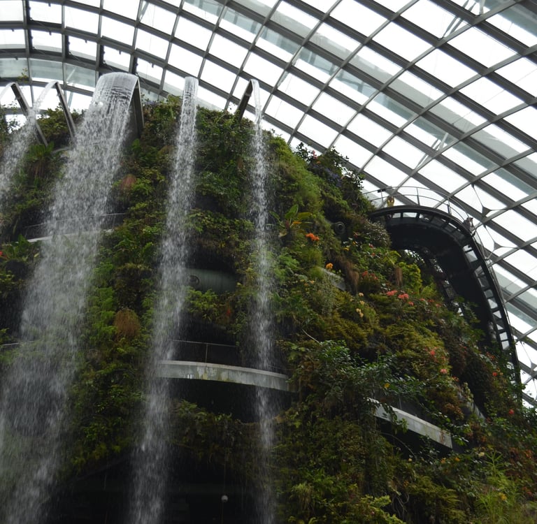 Photographie à l’intérieur de la Forêt de nuages de Singapour