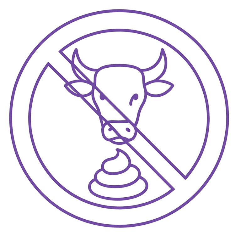no-bullshit icon depicting a bull and a poo emoji inside a circle with a line through it