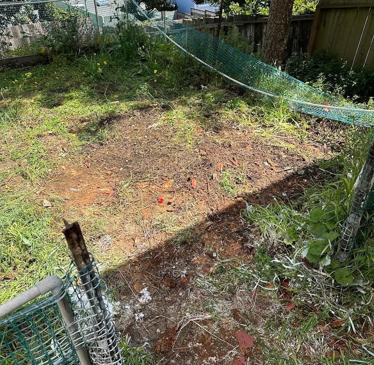 SFC Junk Removal: Fallen branch and storm debris pickup in SF 94110.