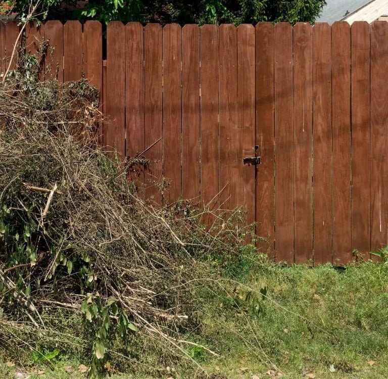 overgrown yard with wooden fence