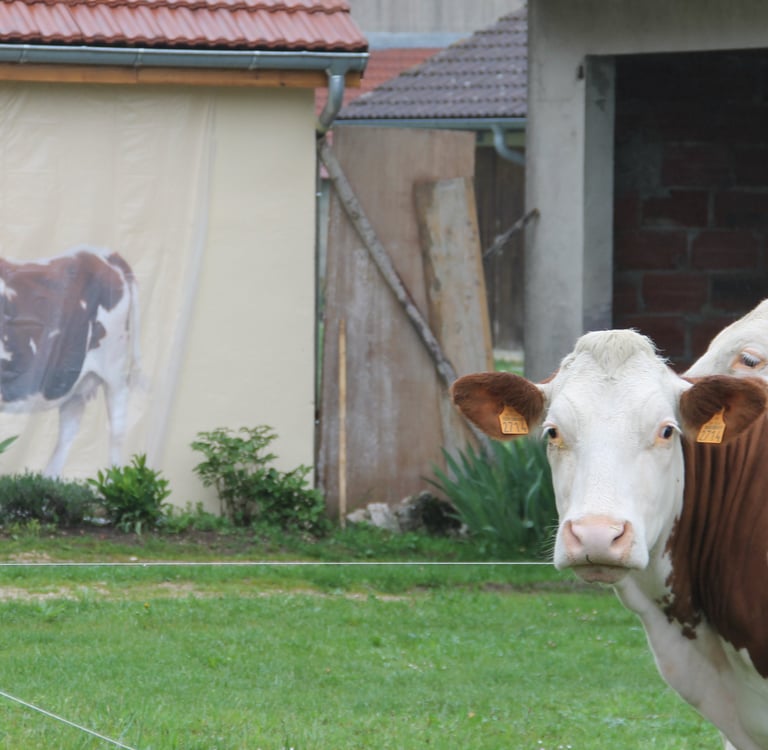 Une vache regarde une autre vache en peinture sur une façade