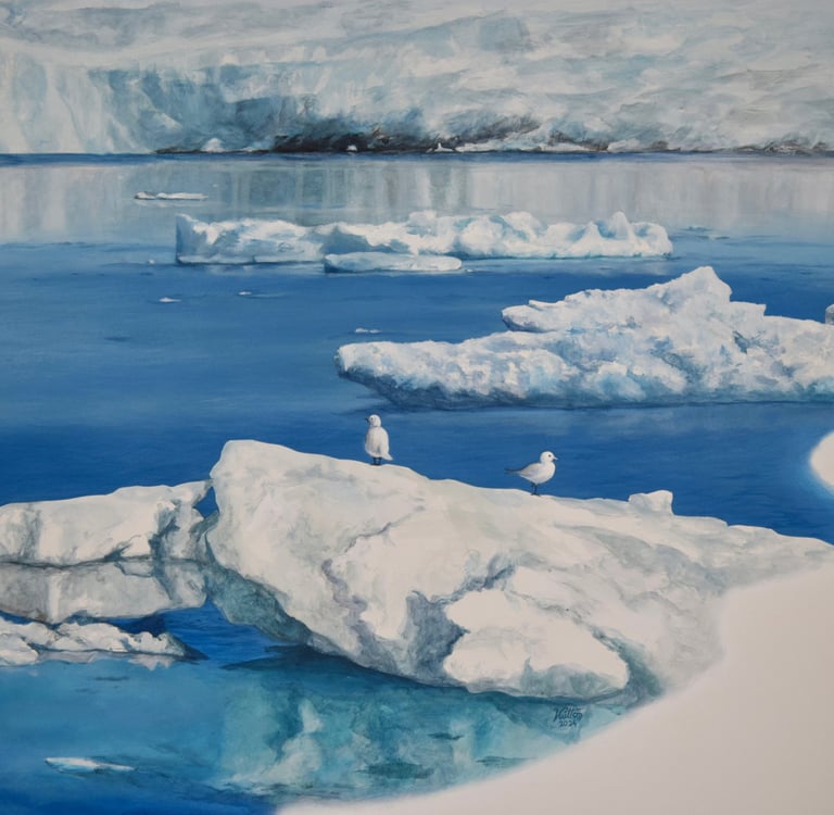 Des oiseaux évoluent sur des icebergs sur une eau calme