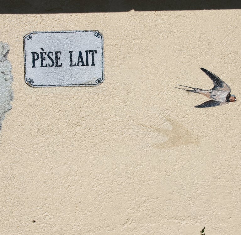 Peinture sur façade, d'une hirondelle en vole et d'un petit panneau en trompe-l'oeil
