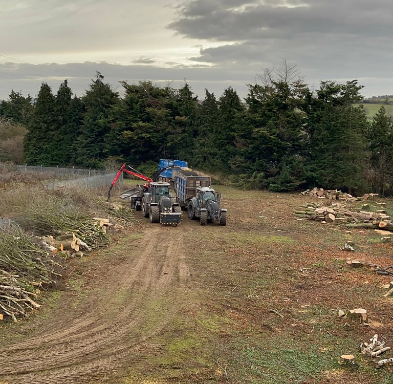 site being cleared by tractors