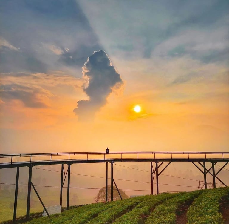 Pemandangan matahari terbit oranye yang dramatis di Nimo Highland, Bandung. Jembatan kaca panjang dengan satu siluet orang di