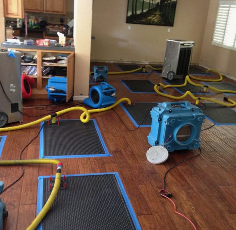 Air movers moving air, dehumidifiers removing water. Special water removing mats on the floors Lynnwood. 