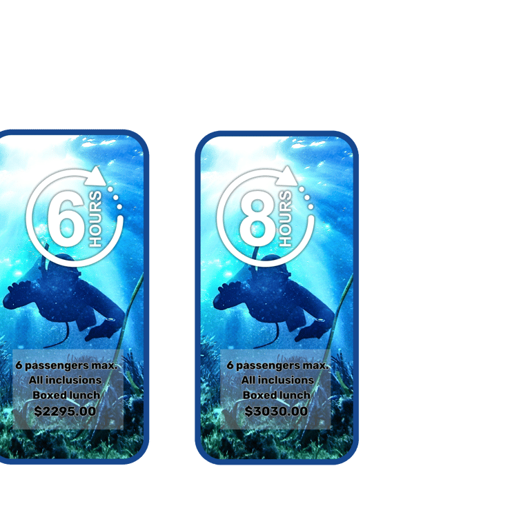 spearfishing book now  graphic