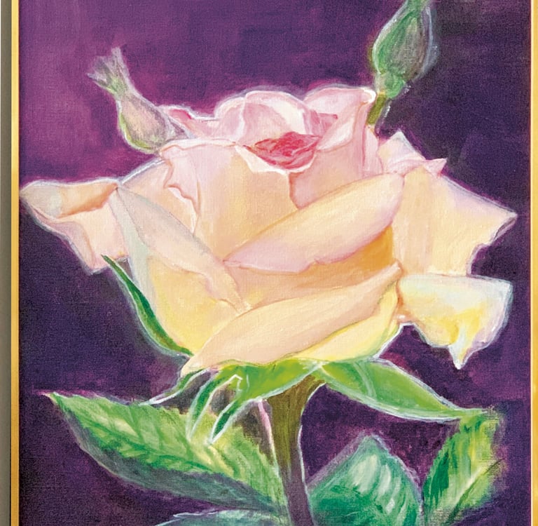 Close up of a render light pink rose in soft light