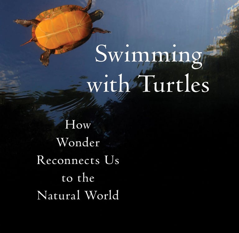 Cover image for Swimming with Turtles: How Wonder Reconnects Us to the Natural World by Susan Baur. 