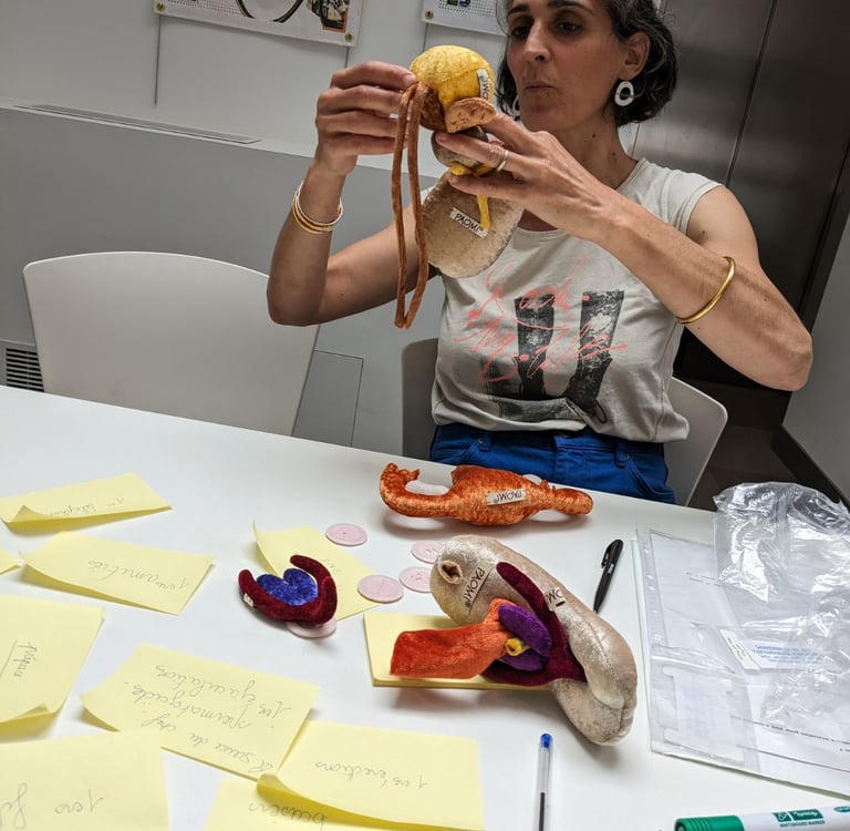 pistil intervention scolaire