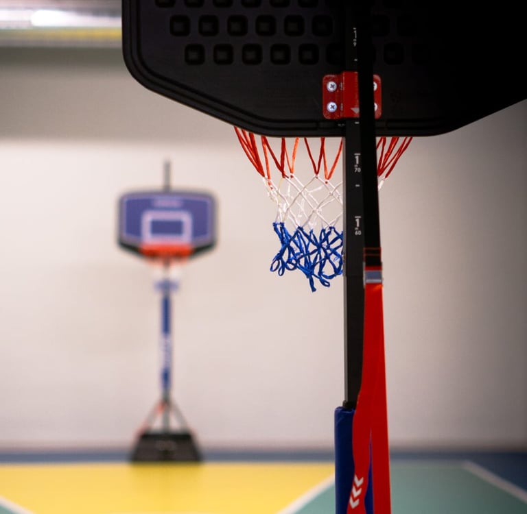 Canestro da basket nell'area multisport della palestra Move 2 Grow a Milano, con campo colorato sullo sfondo.