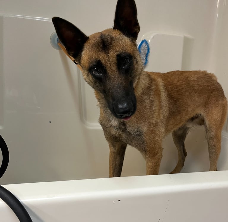 bath