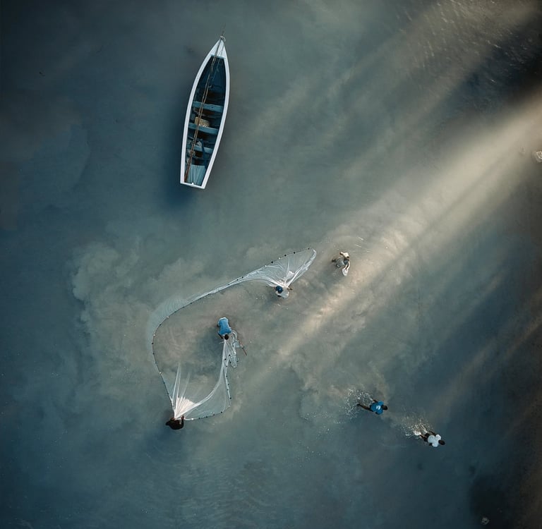 Location: Butte à l'Herbe. Aerial view of fishermen casting nets from a boat into the shallow, calm waters of Mauritius