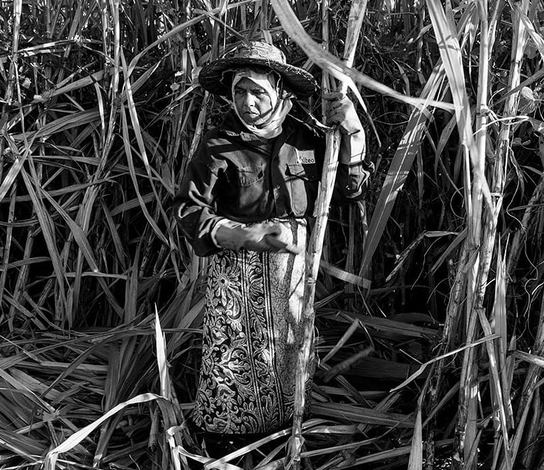 Mauritian woman in traditional attire cutting sugarcane, Cape Town Photography Festival 2025.