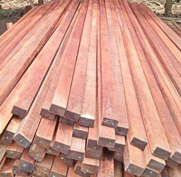 Kayu Kaso Meranti untuk Konstruksi