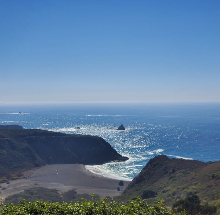 Coastal California