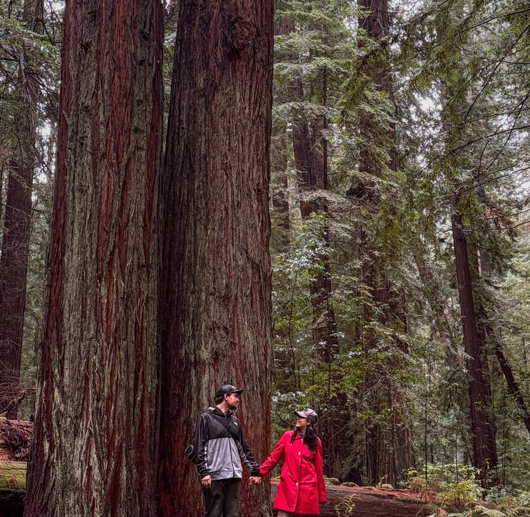 Redwoods State Park