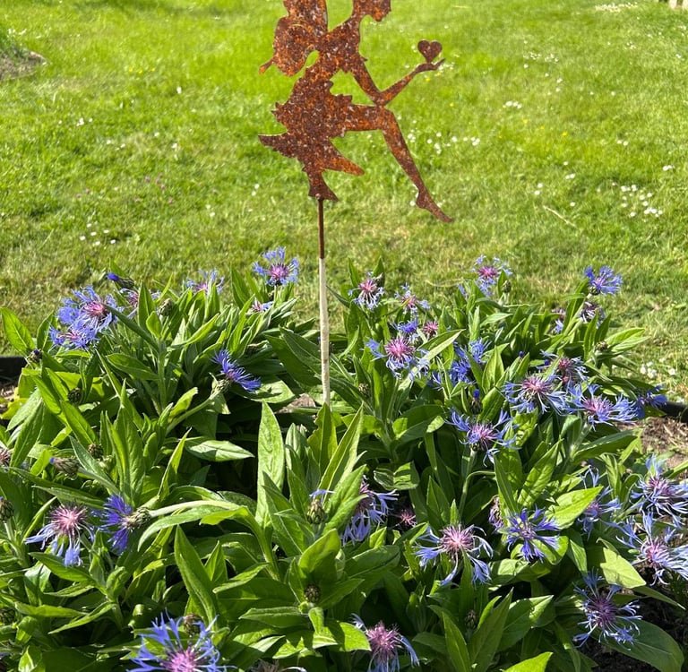 Fée qui suit le fil de son coeur