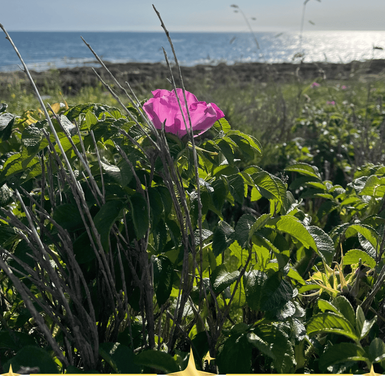 soin-vibratoire-être-en-paix-quand-ses-fondations-tremblent