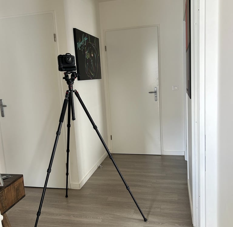 a camera and tripododge on a tripod