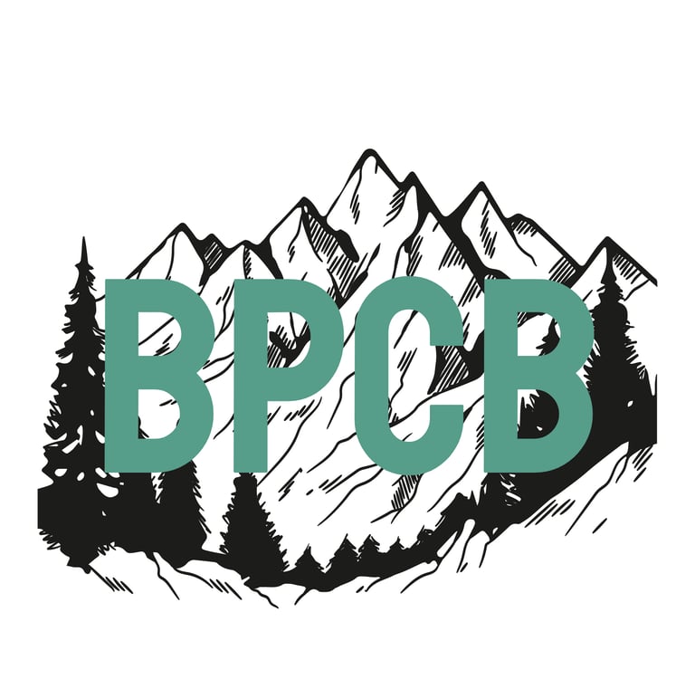 Logo for Boulder PC Builders