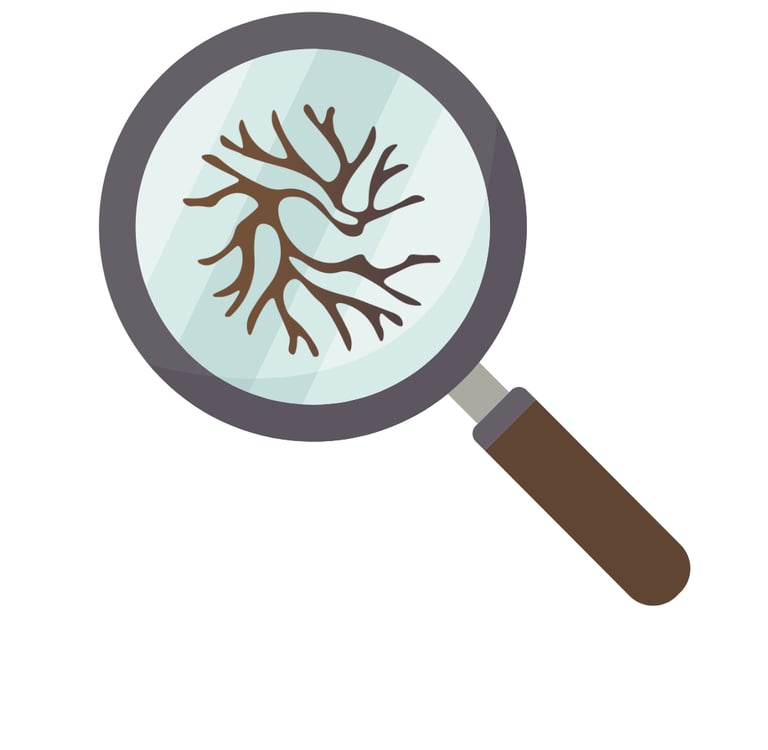 analisis de micorrizas