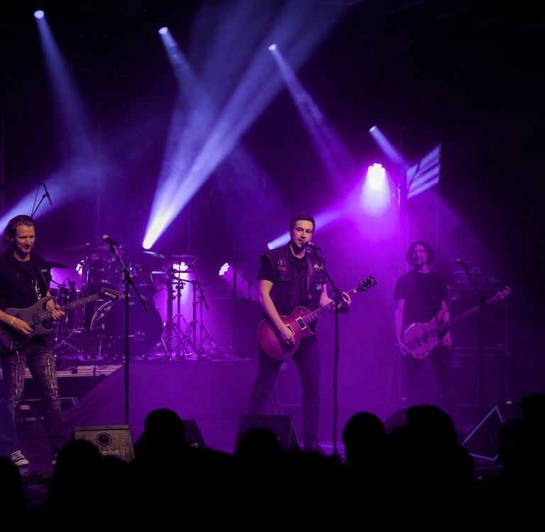 a band of musicians performing on stage at a concert