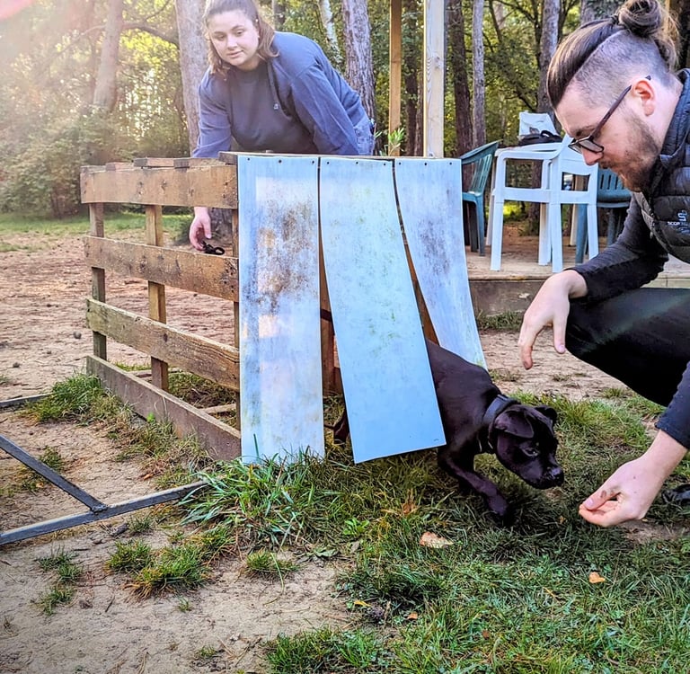 Deux personnes et un chien lors d'une seance d'éducation canine