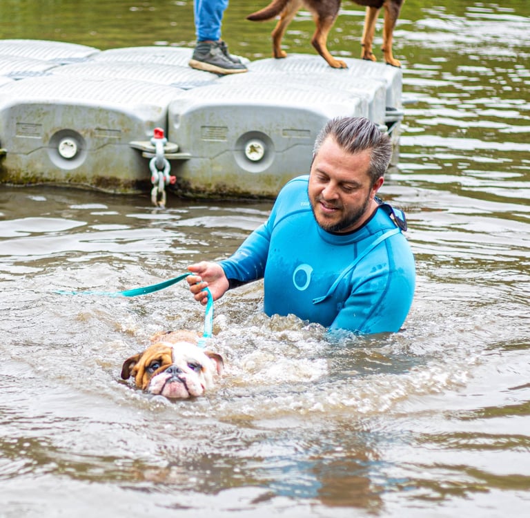 Aqua school, un chien apprend à nager