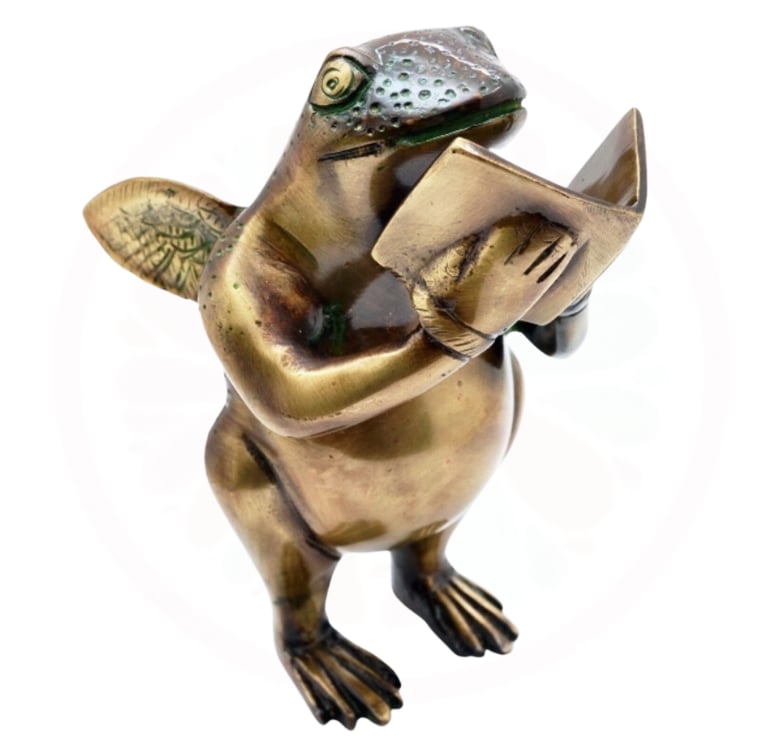 a brass frog read in book