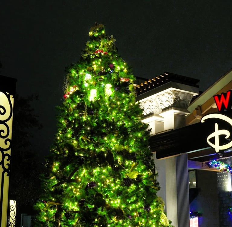 The Christmas Tree Stroll (Disney Springs)
