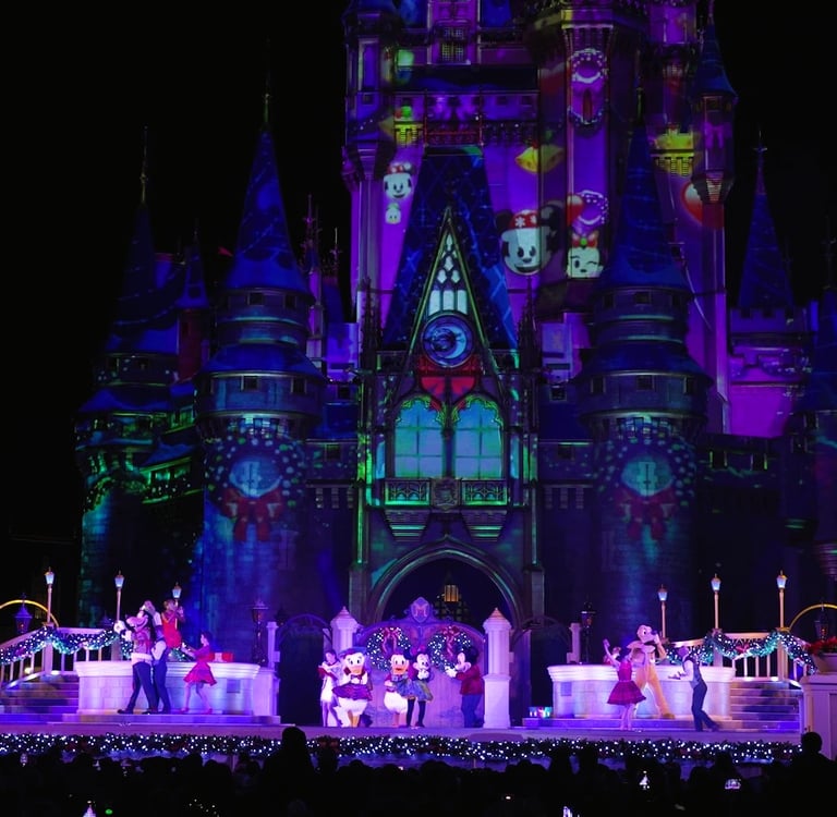 The Frozen Holiday Surprise (Magic Kingdom) - stage view