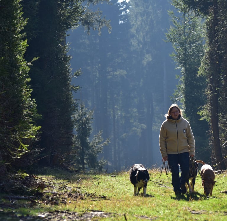 Eine Frau führt ihre drei Hunde auf einem sonnendurchfluteten, grasbewachsenen Pfad durch einen üppi