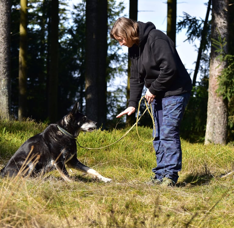 Eine Frau in einem schwarzen Hoodie trainiert einen schwarzen Hund mit Handzeichen auf einer sonnige