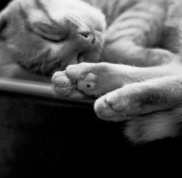 Hypnose et troubles du sommeil à Cantenay-Épinard près d’Angers – accompagnement pour mieux dormir