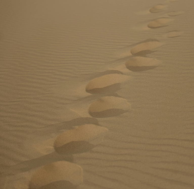 séance hypnothérapie adulte 