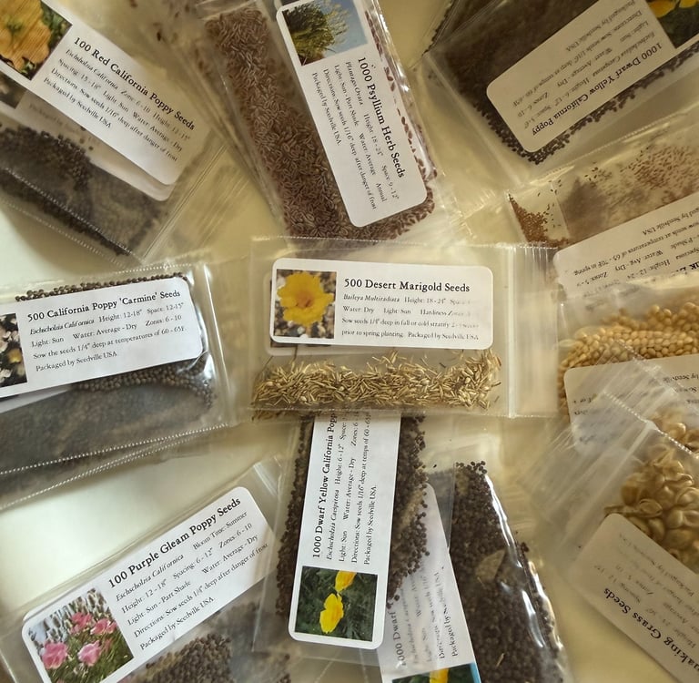 Various labeled seed packets including California Poppy and Desert Marigold for home gardening and planting.