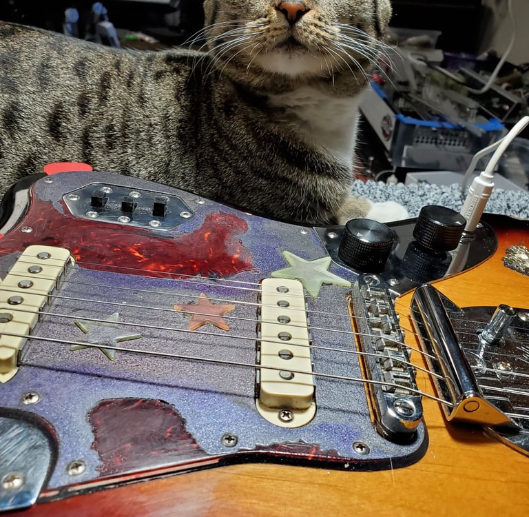 Ivy the cat inspects all the work done at the shop. Guitar set-up and spa treatment