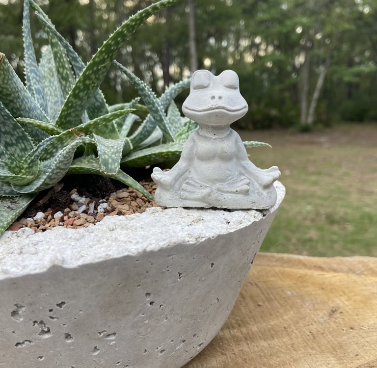Aloe vera plant in a concrete planter with a small stone meditating frog statue sitting on the edge