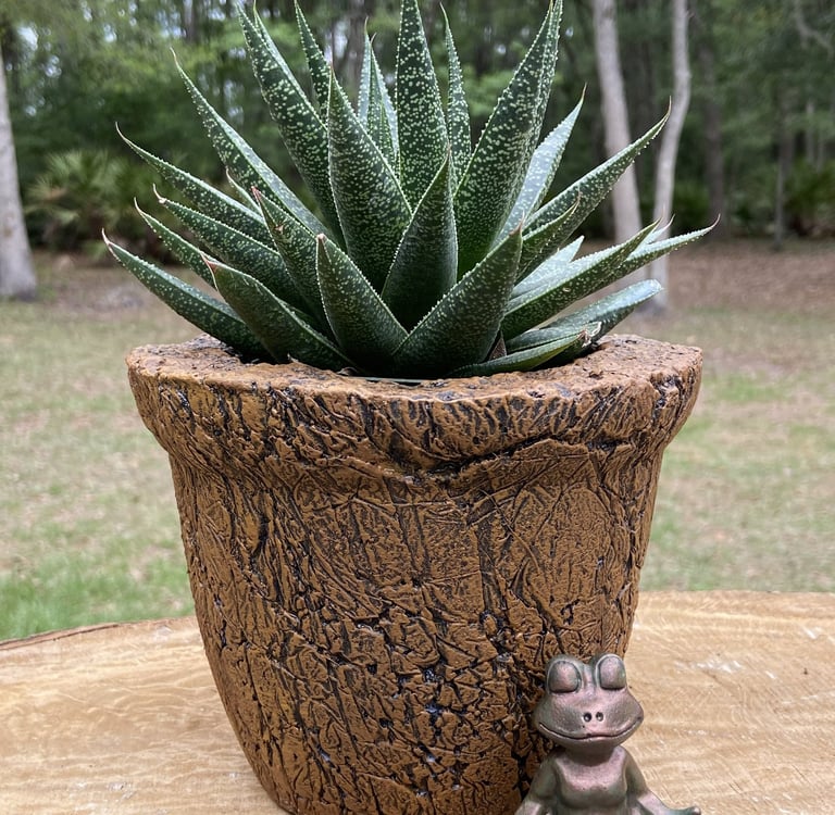 An aloe succulent in a textured brown pot next to a small yoga frog figurine.